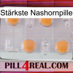 Stärkste Nashornpille 24